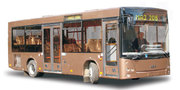 Автобус МАЗ-206-060